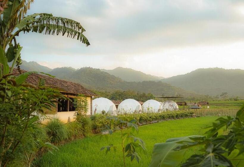 Hotel Borobudur Luxury Glamping