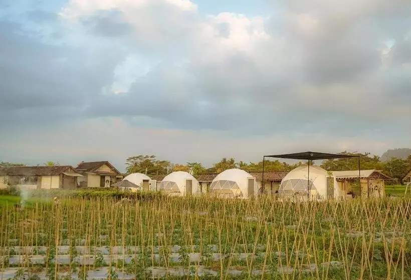 Hotelli Borobudur Luxury Glamping