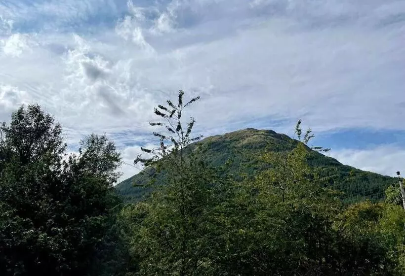 Kapselihotelli Woodlands House