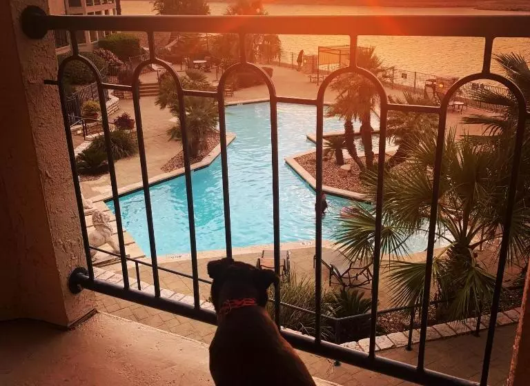 Lake Travis Stunning Waterfront, Sunset & Pool Views, Pet Friendly, Boat Ramp, Lago Vista, Texas