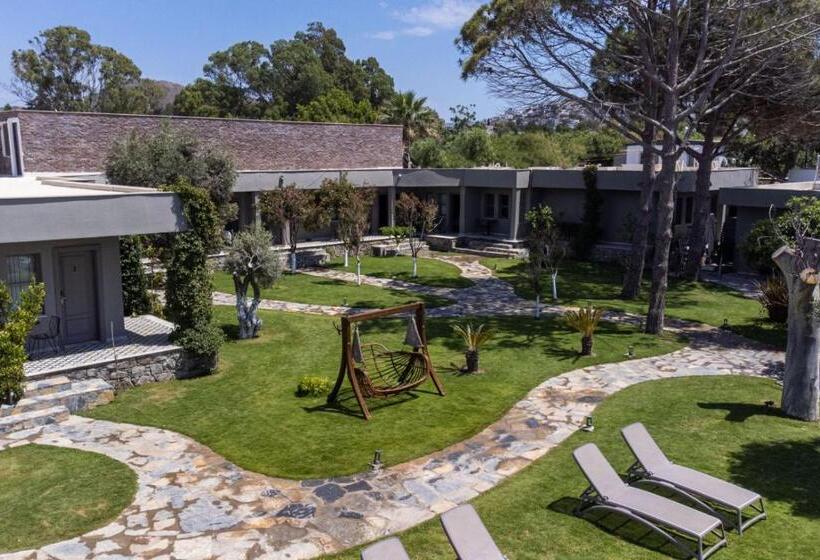 住宿加早餐 Mükellef Gümüşlük