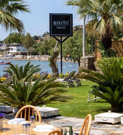 住宿加早餐 Mükellef Gümüşlük