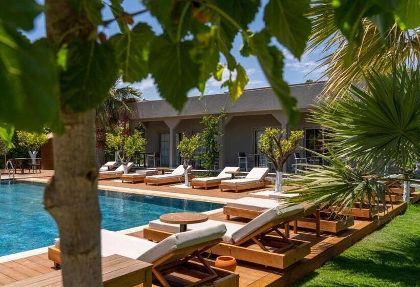 住宿加早餐 Mükellef Gümüşlük