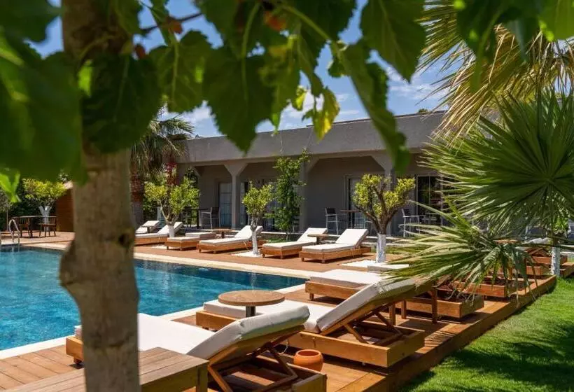 Aamiaismajoitus (B&B) Mükellef Gümüşlük
