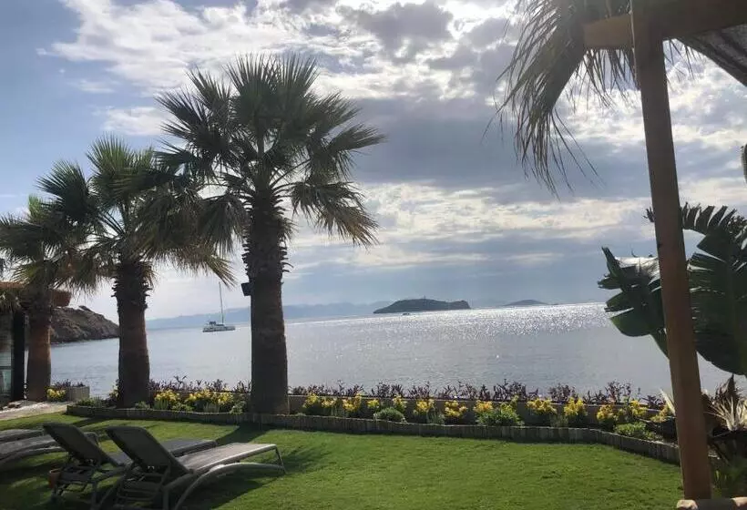 Aamiaismajoitus (B&B) Mükellef Gümüşlük