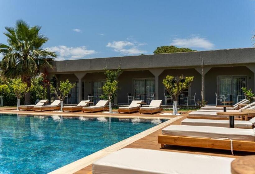 住宿加早餐 Mükellef Gümüşlük