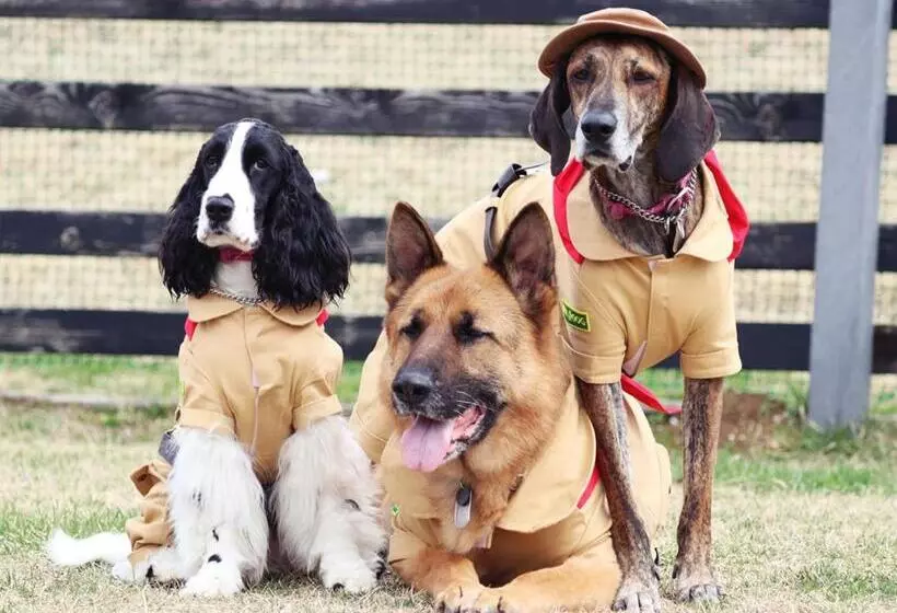 ホテル Naughty Cao