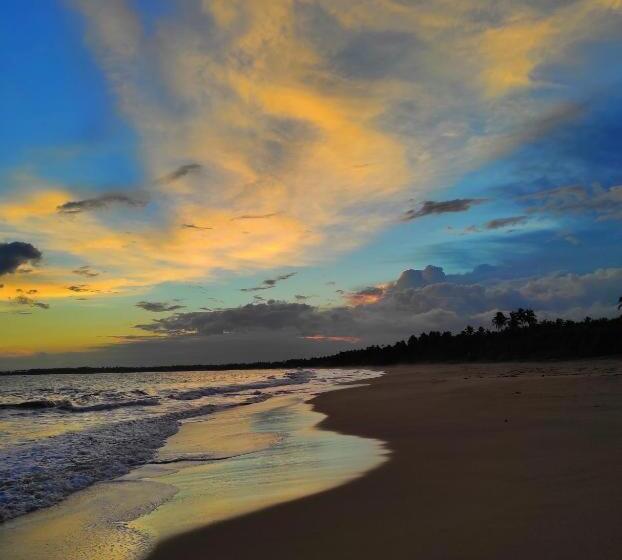 Bed and Breakfast Seagulls Garden Cabanas