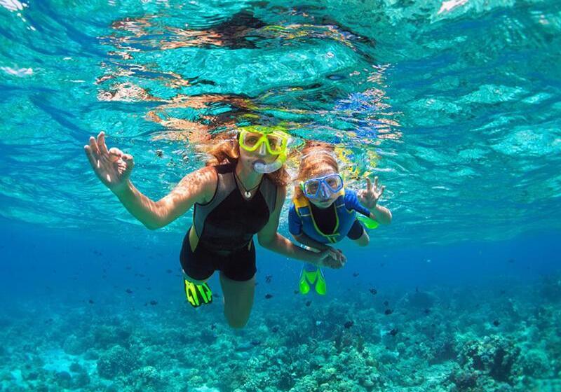 Bed and Breakfast Seagulls Garden Cabanas