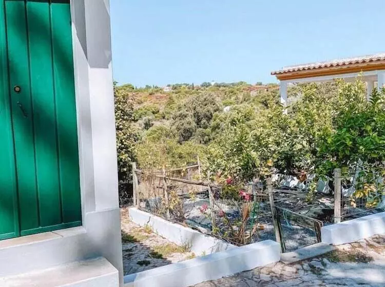 Cá Vamos T1   Hortacasa