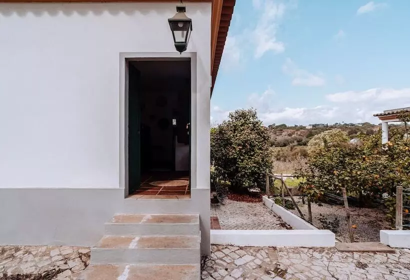 Cá Vamos T1   Hortacasa