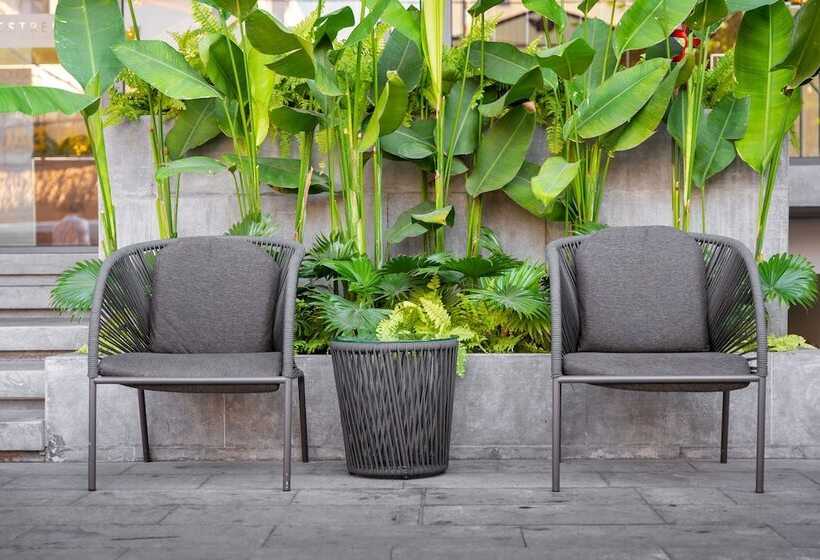 هتل Estrella Boutique