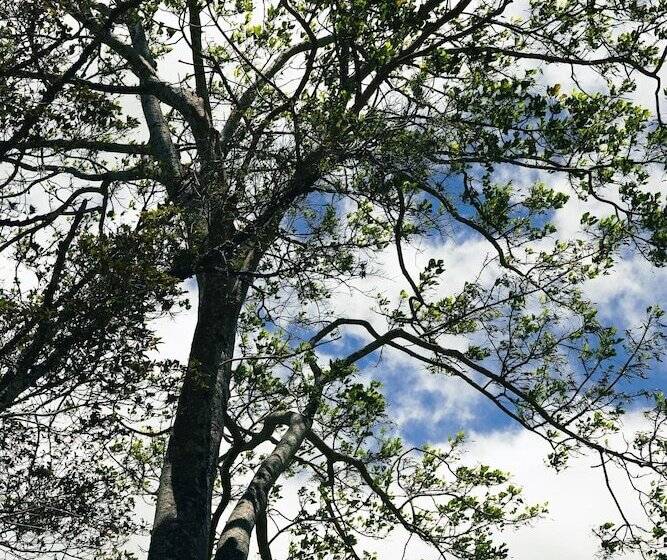 Отель Selina Bragança