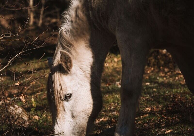 Отель Selina Bragança
