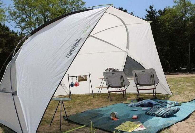 هتل Vigolando Van Ho Resort