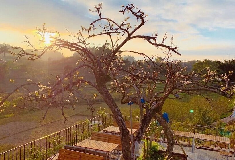 هتل Vigolando Van Ho Resort