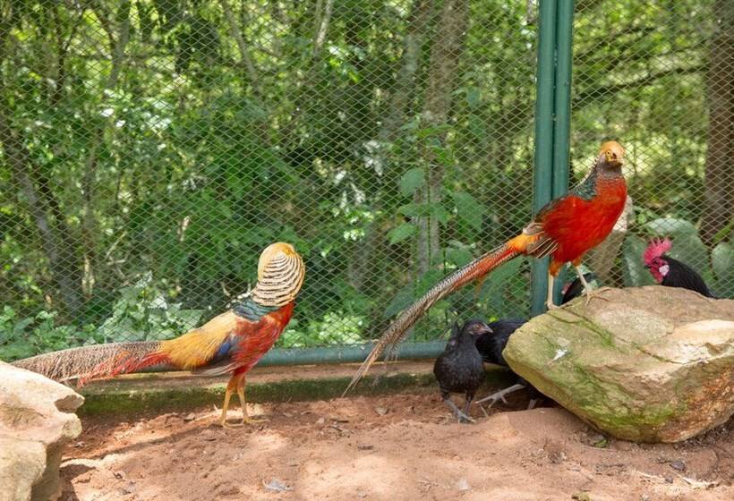 Parque Hotel Pimonte