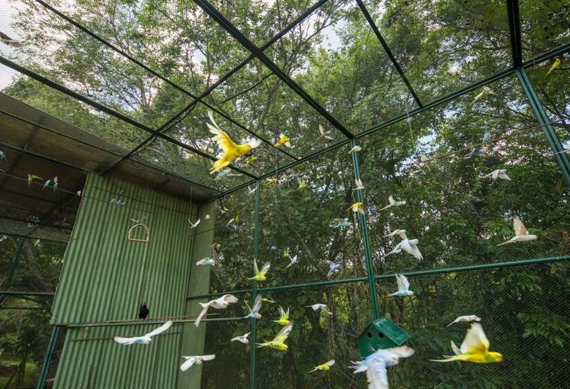 Parque Hotel Pimonte