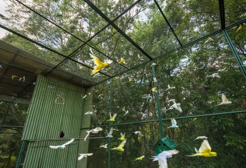 Parque Hotel Pimonte