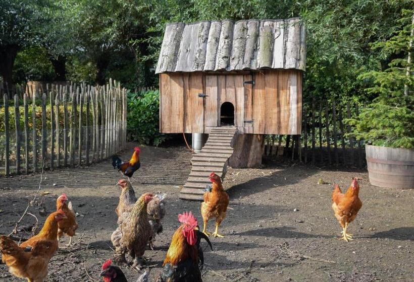 پانسیون Rooms De Voerman