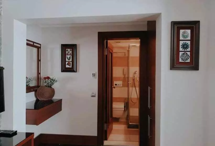 هتل Dareyn Konak