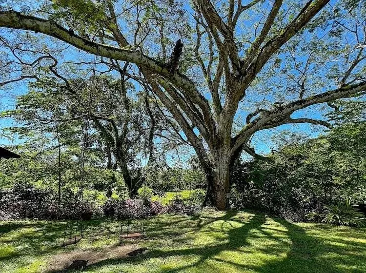 ホテル Nao Venao Boutique