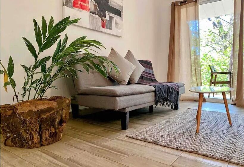 Отель Nao Venao Boutique