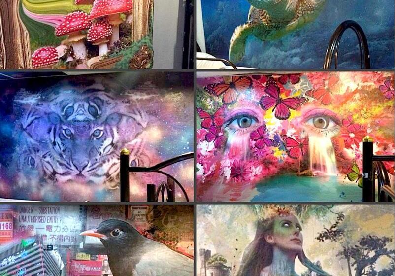 Hotel Wet! A Pool Party Hostel By Wild & Wandering