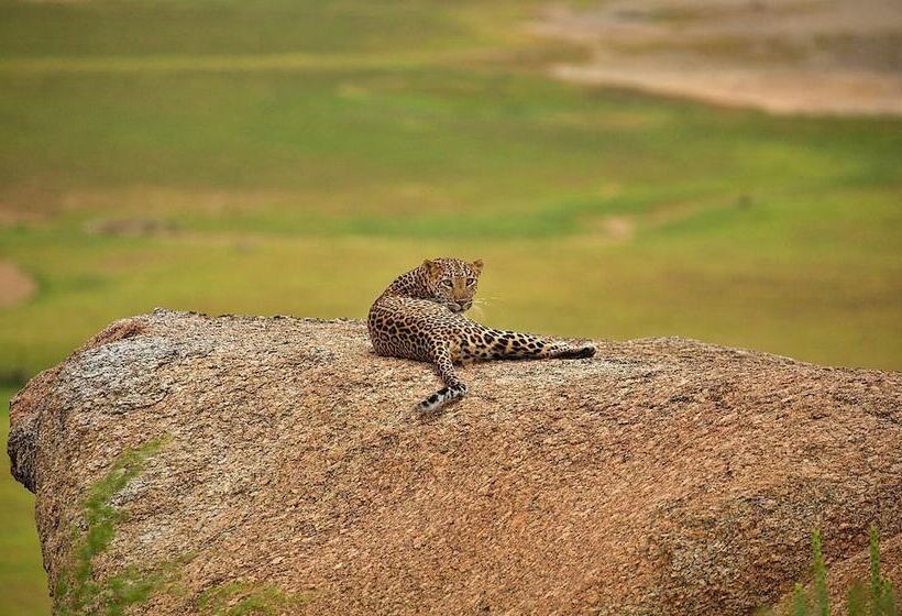 فندق Bijapur Lodge