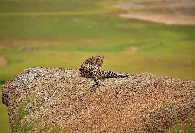 ホテル Bijapur Lodge