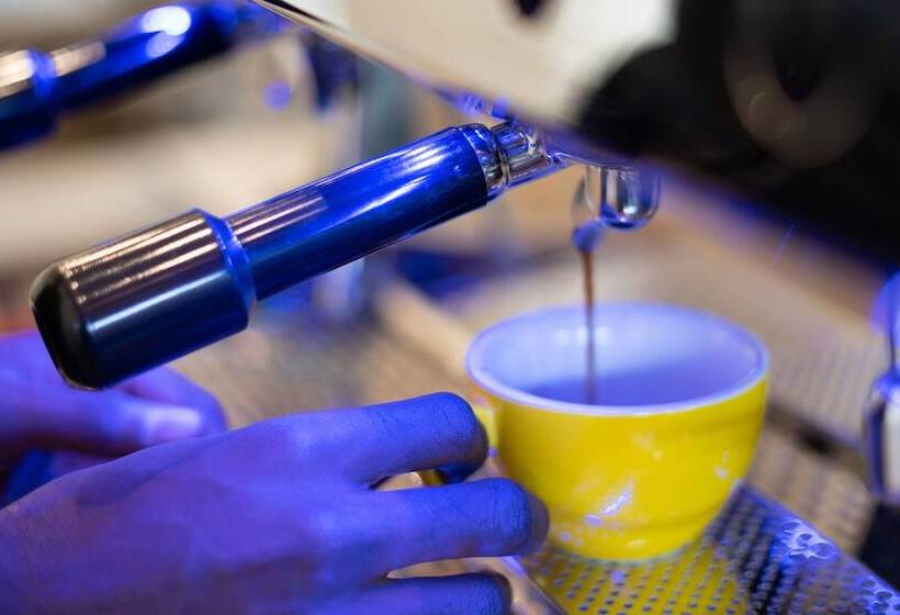 בית מלון כפרי G.c Royal