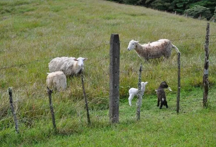 Hotelli Mountain Lodge Chetica