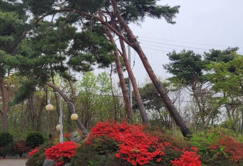 מוטל Hongseong Solbatcheonsu