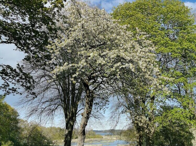 住所  Arbottna Herrgård