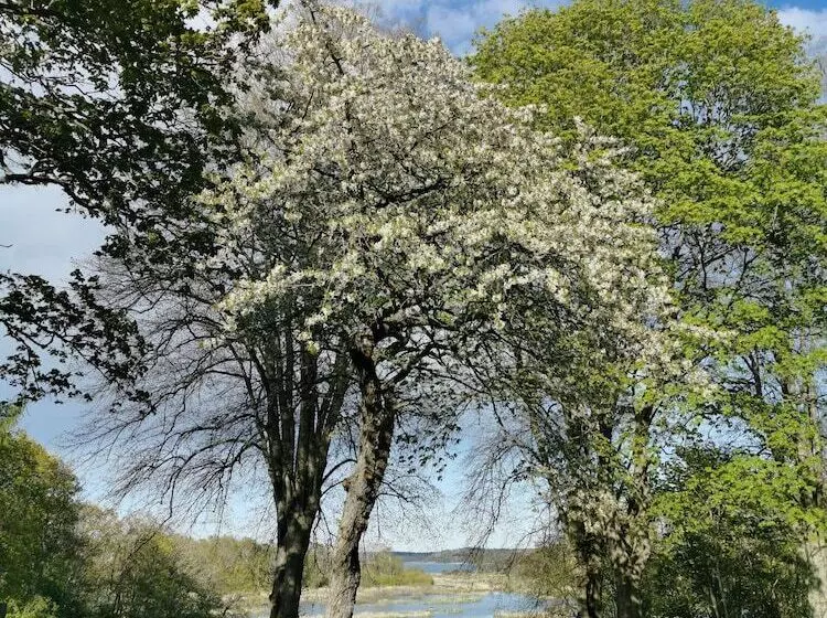 レジデンス Arbottna Herrgård