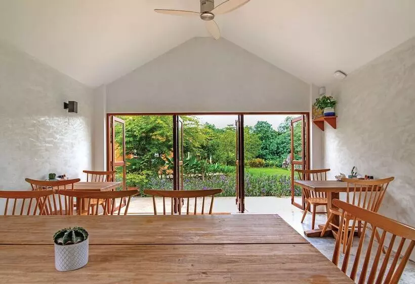 The Little White Bird Traveller Hostel