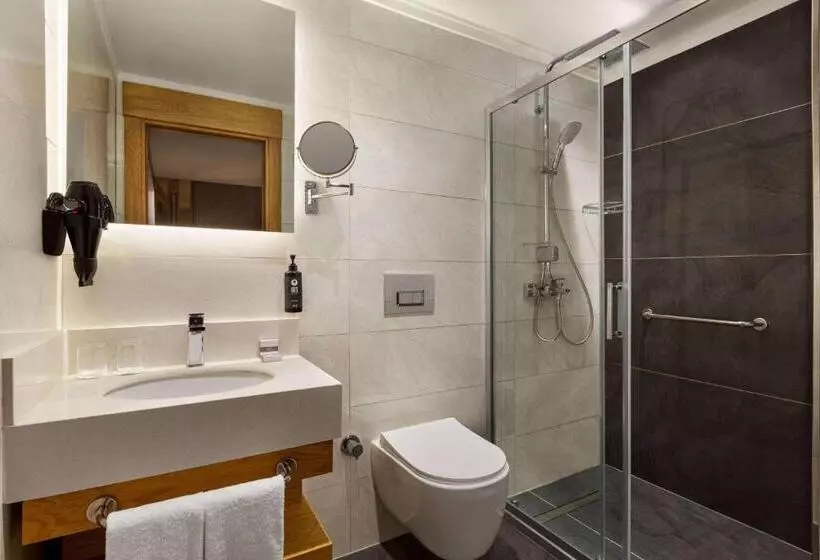 ホテル Days Inn By Wyndham Istanbul Bomonti