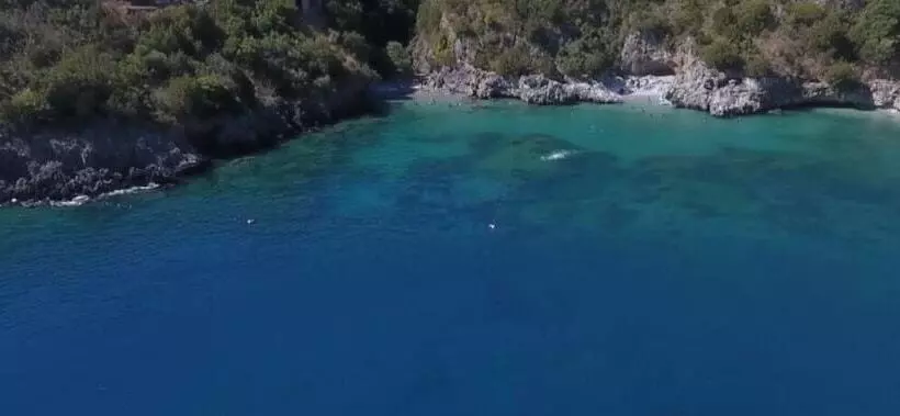 I Fiori Di Donna Ester