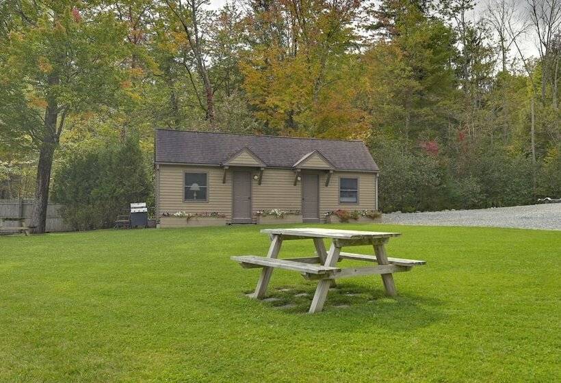 Lake George Waterfront Cabin W/ On Site Marina!