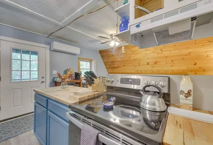 Pet Friendly Belfast Retreat   2 Mi To Downtown!