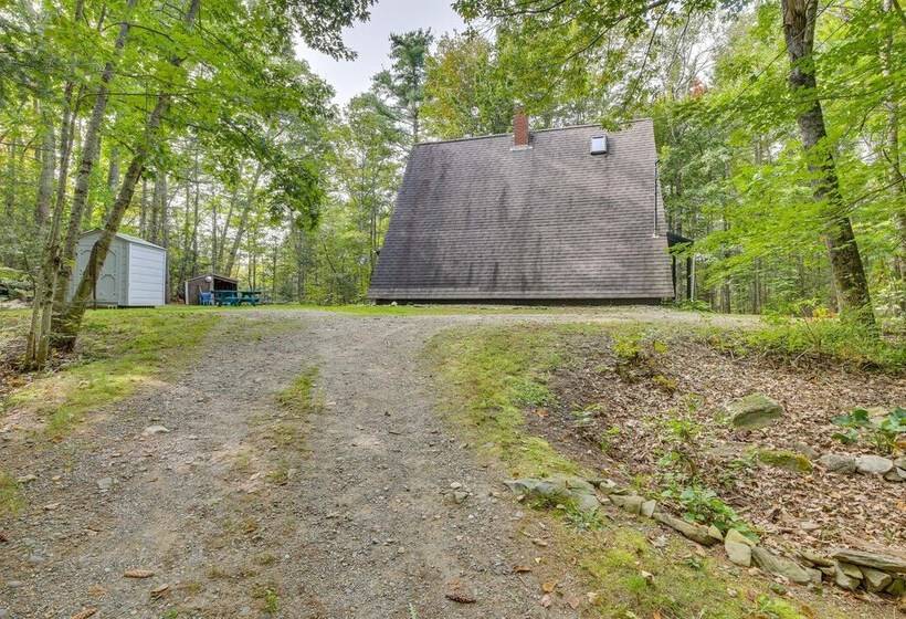 Pet Friendly Belfast Retreat 2 Mi To Downtown!