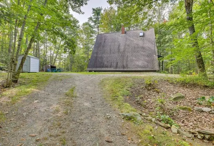 Pet Friendly Belfast Retreat   2 Mi To Downtown!