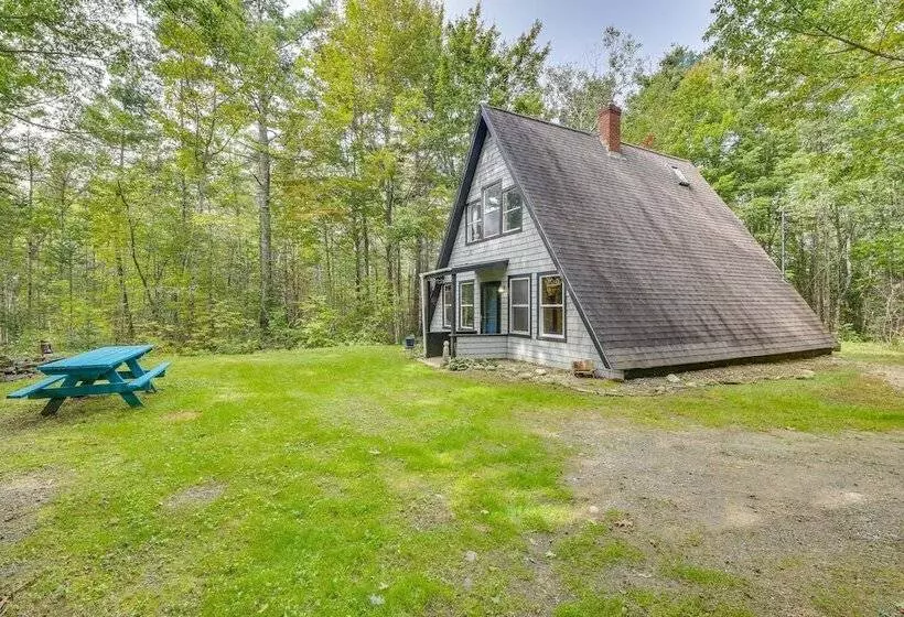 Pet Friendly Belfast Retreat   2 Mi To Downtown!