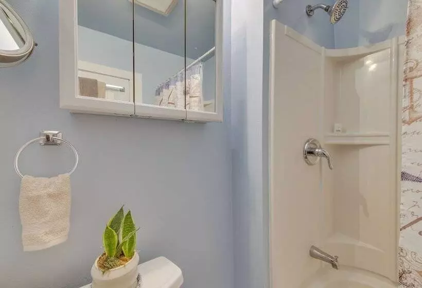 Pet Friendly Belfast Retreat   2 Mi To Downtown!