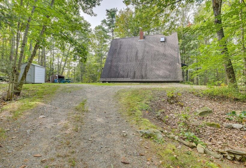 Pet Friendly Belfast Retreat 2 Mi To Downtown!