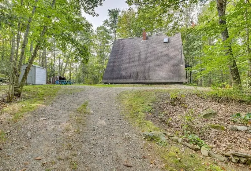 Pet Friendly Belfast Retreat   2 Mi To Downtown!