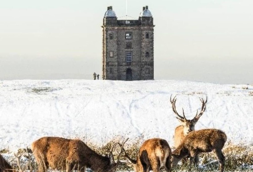 레지던스 Immaculate 1 Bed House In Newtown, Disley