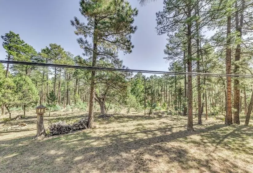 Rustic Alto Retreat   Near Hiking, Skiing & More!