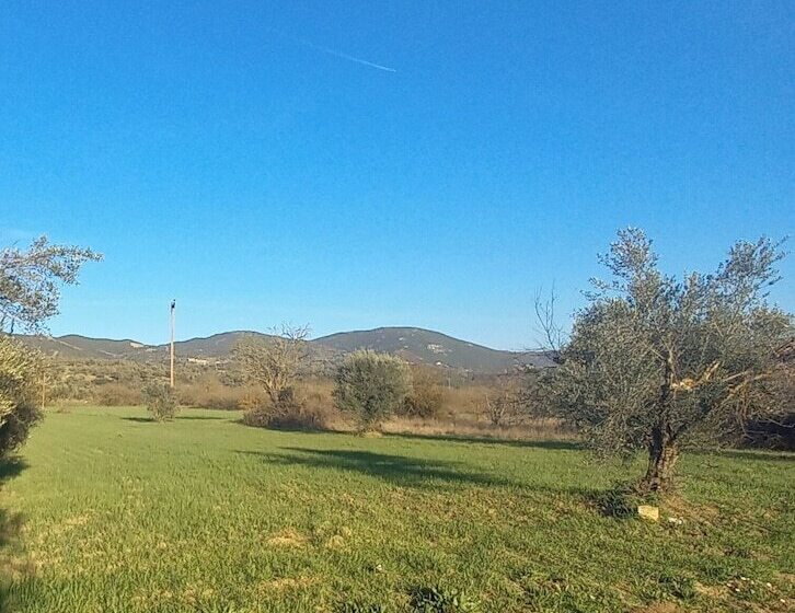 Beautiful 1 Bed Cottage In Megalopolis