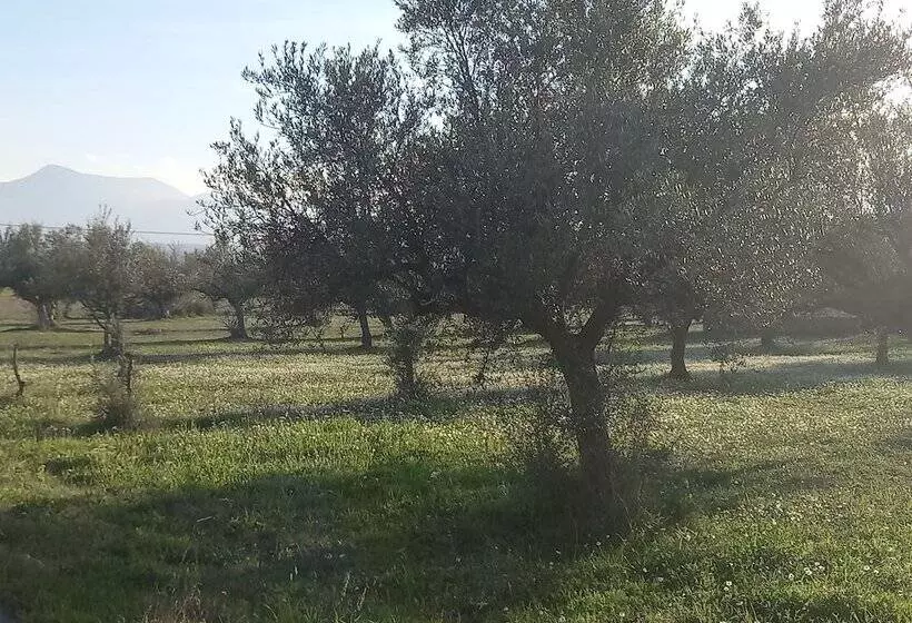 Beautiful 1 Bed Cottage In Megalopolis